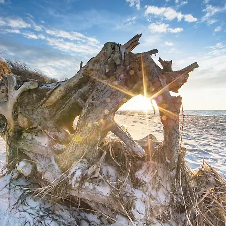 Panorama-utkiek Inklusive Strandkorb Von April-oktober